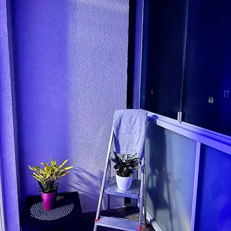 Апартаменты Cozy