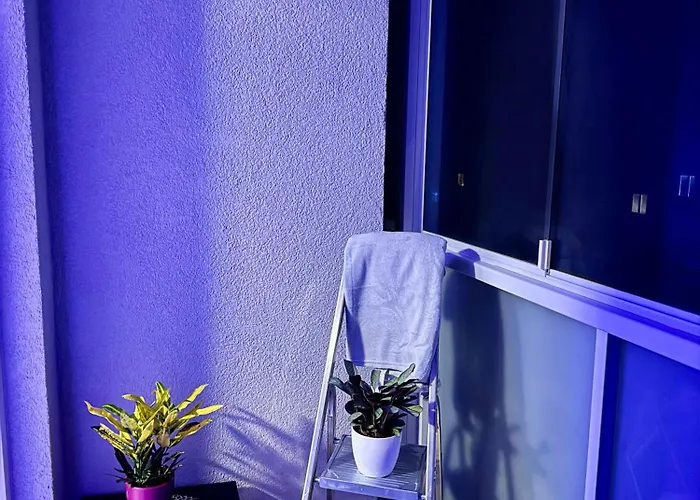 Апартаменты Cozy